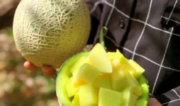 有什么娱乐圈瓜可以吃,揭秘明星幕后故事与精彩瞬间